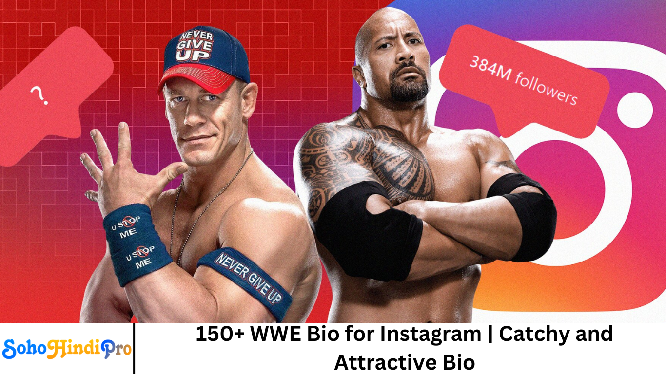 150+ WWE Bio for Instagram | Catchy and Attractive Bio