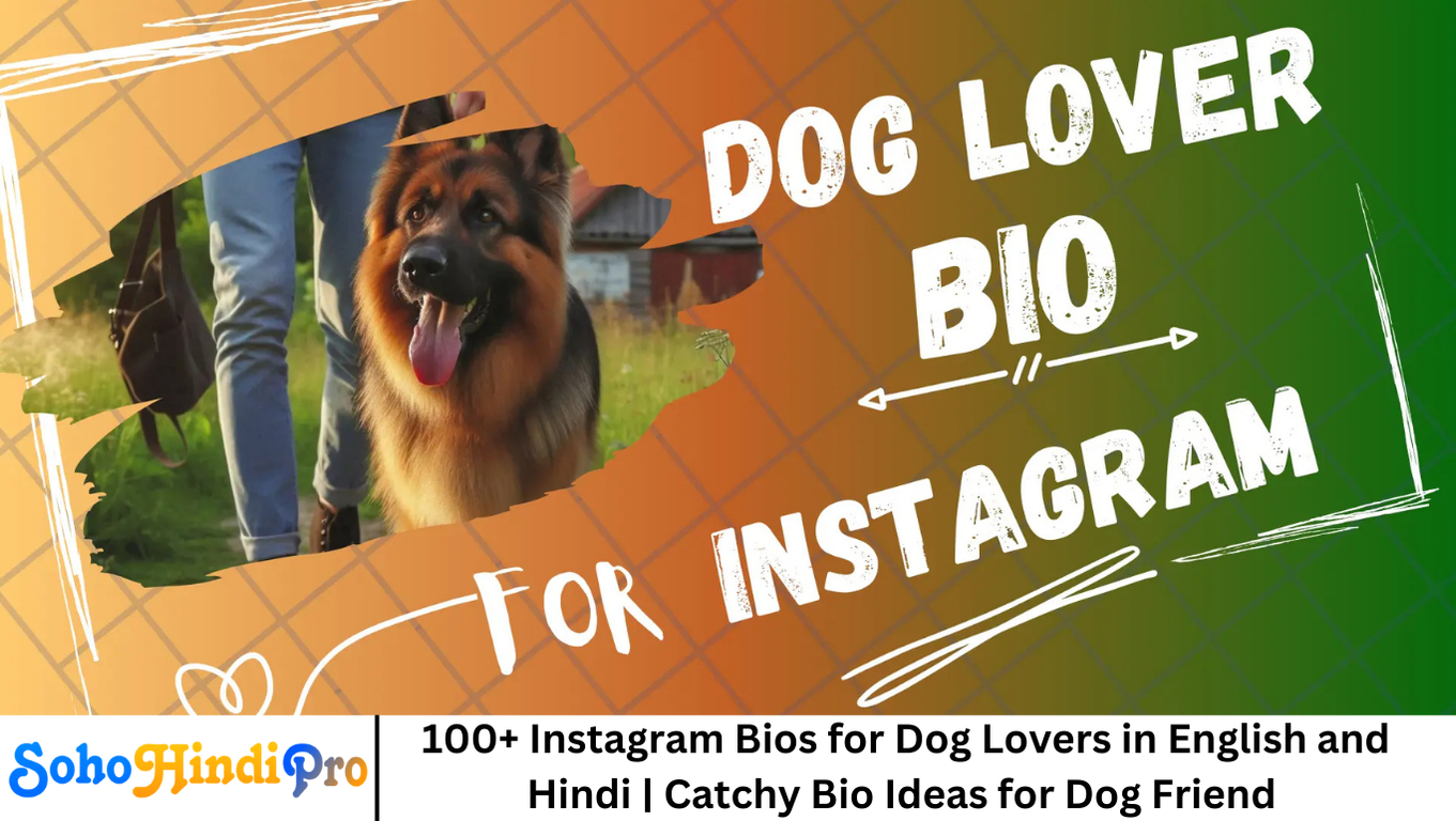 100+ Instagram Bios for Dog Lovers in English and Hindi | Catchy Bio Ideas for Dog Friend